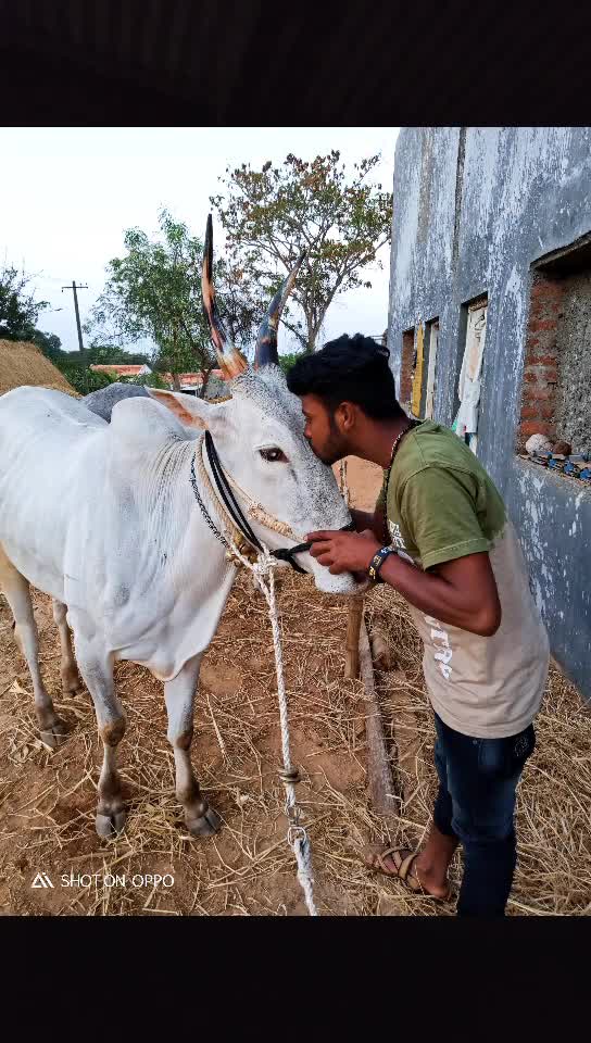 @ಭರತ್ ಗೌಡ್ರು