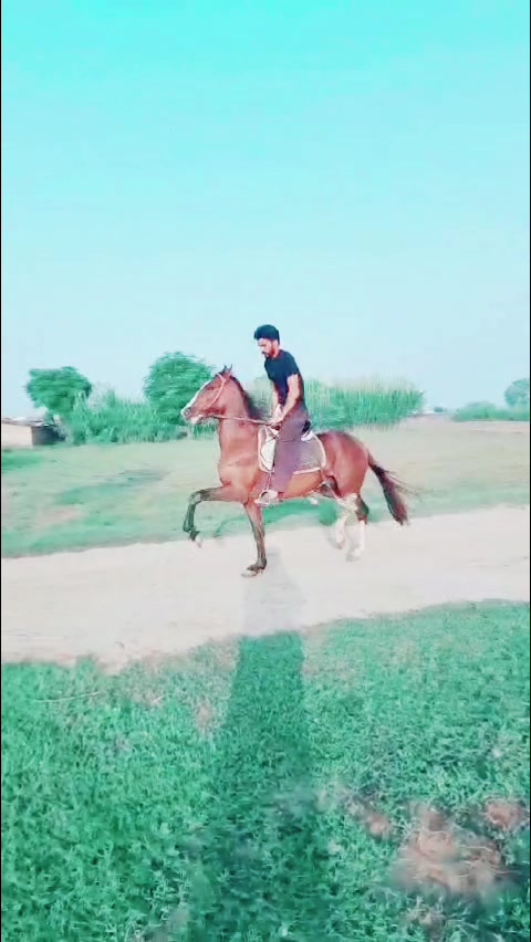 @Rashid Ali Gujjar