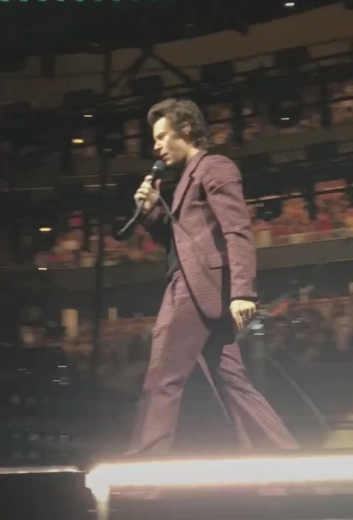 @harry styles