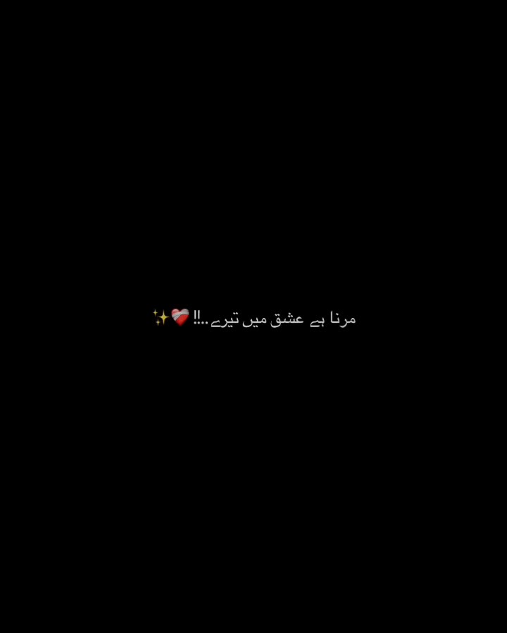 @MEER KASHIF BALOCH 👑