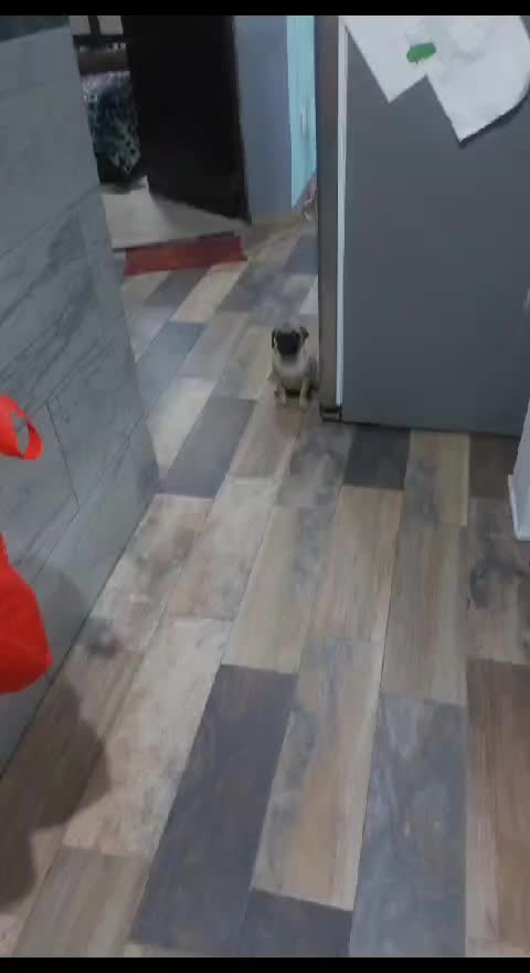 @Luz Duran❤
