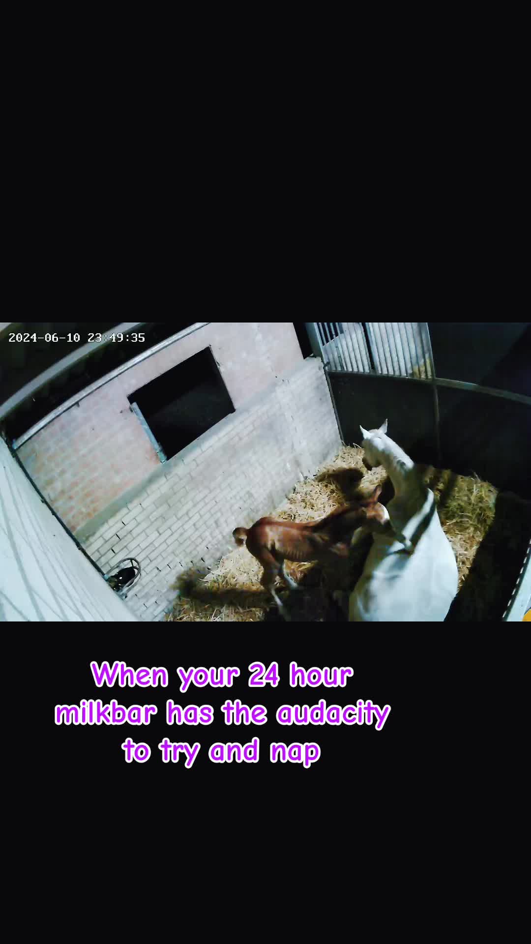 @Konfetti and Jet