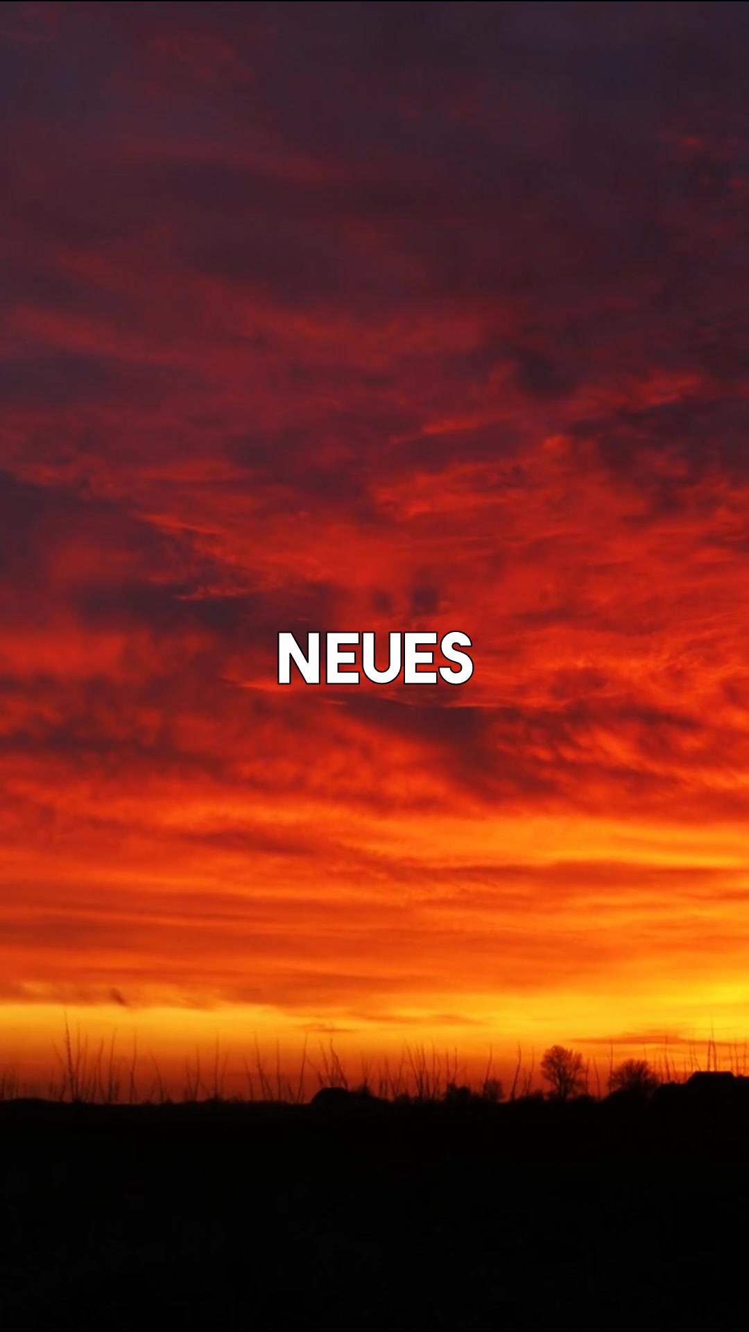@hossundhopf.hh