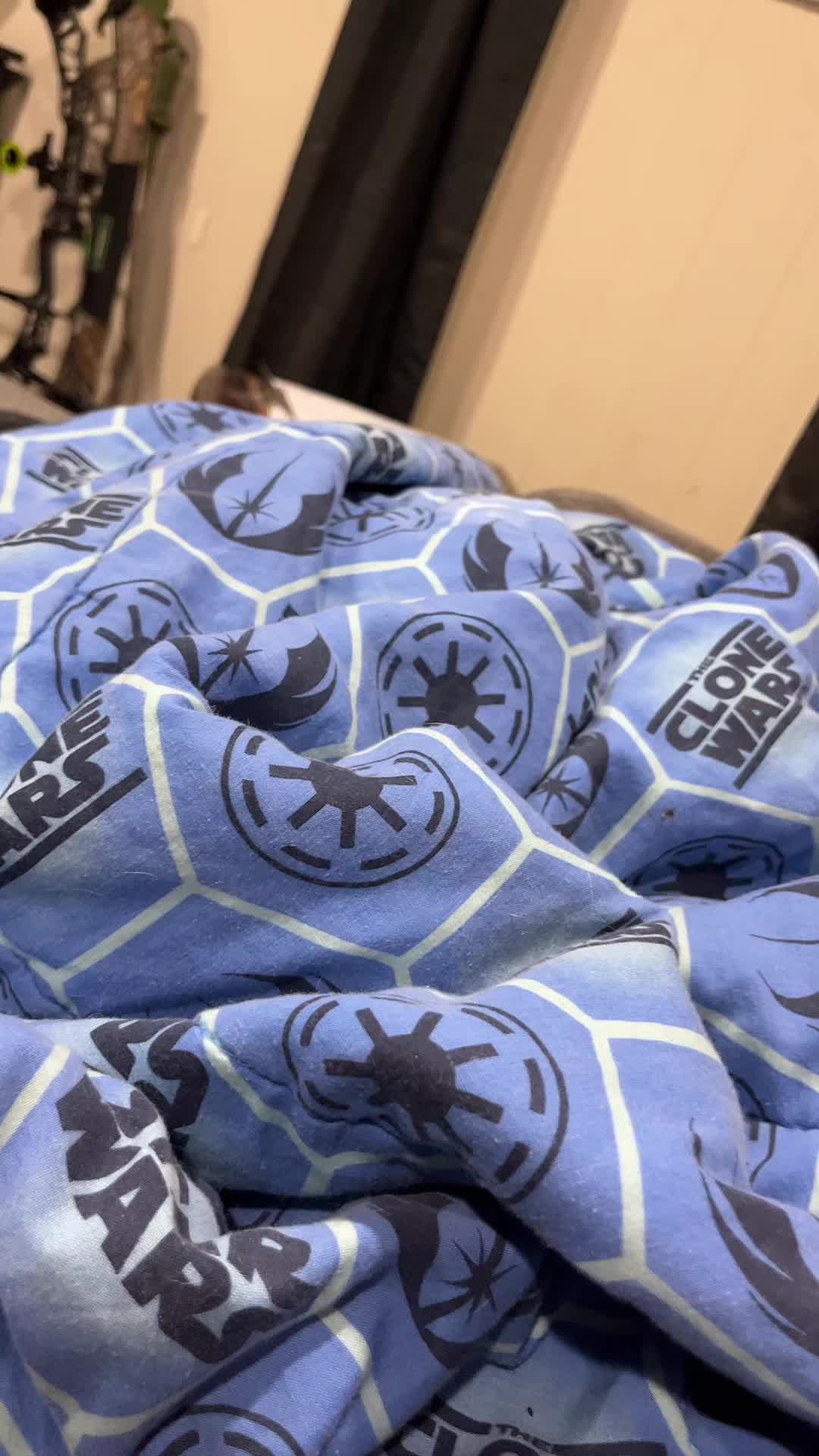 @🐞Sara🐞