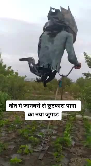 @Ma Ka Ladla