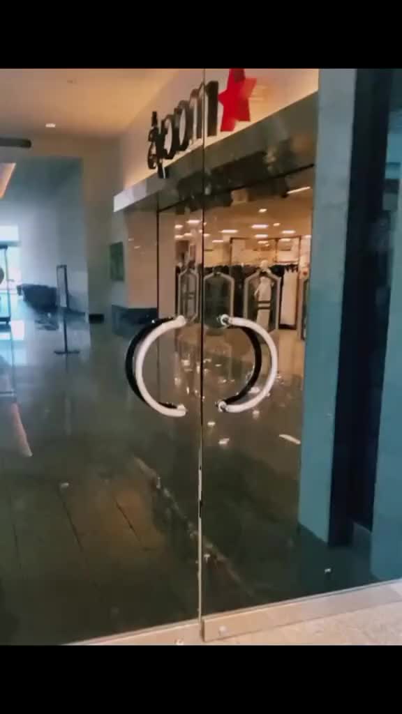 @HoloDok🍭