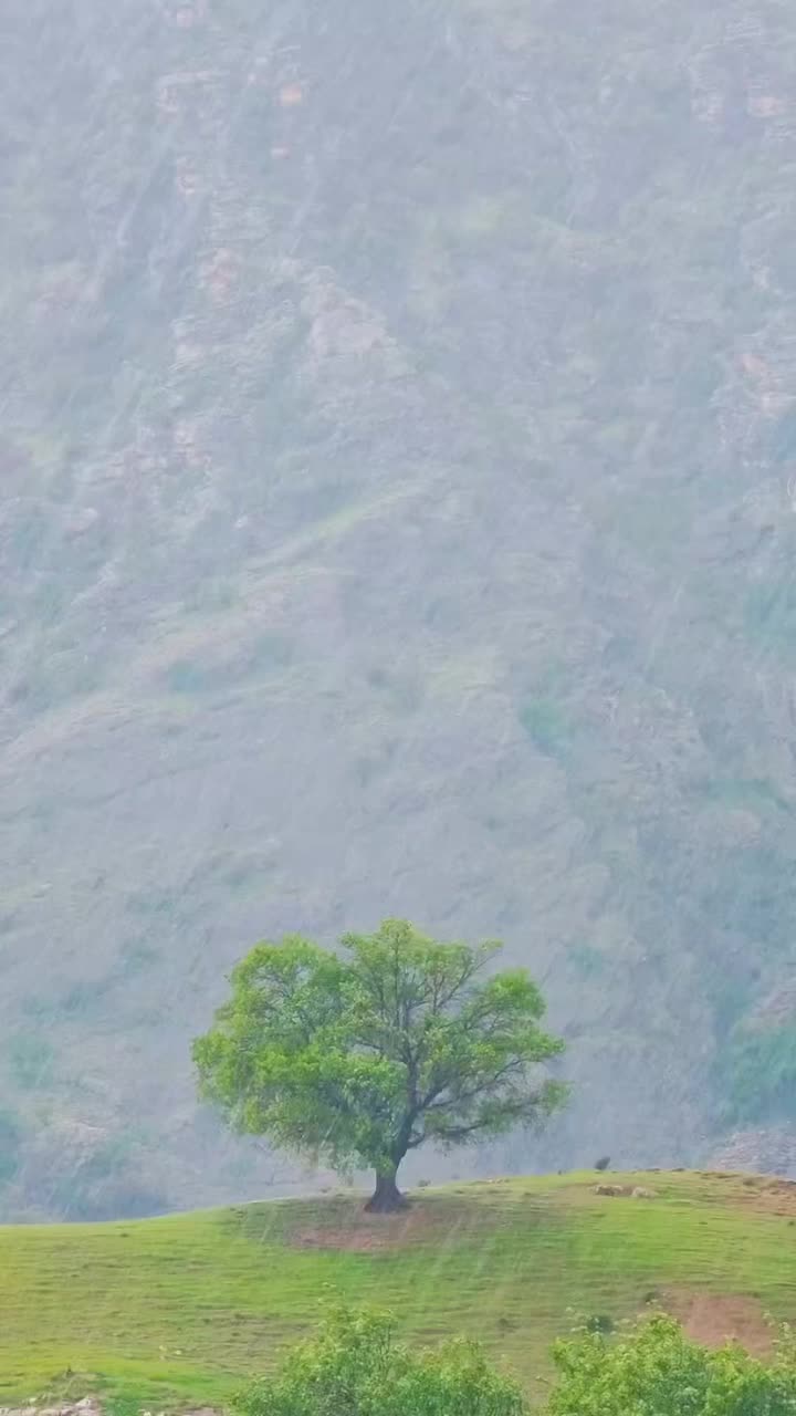 @Hawramiii