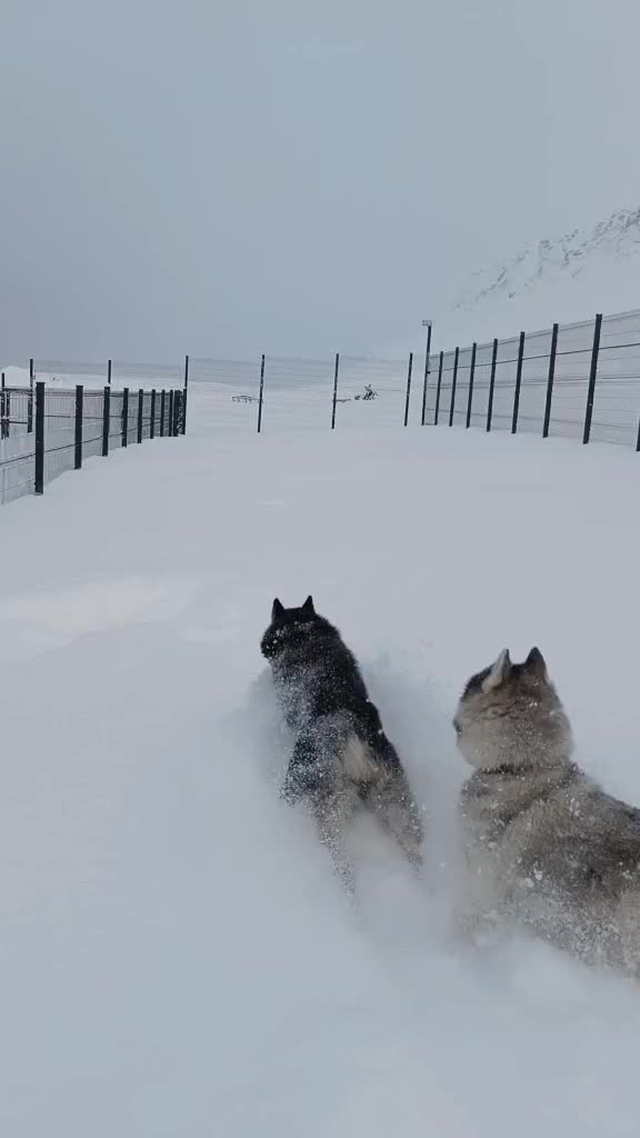 @Nakhodka