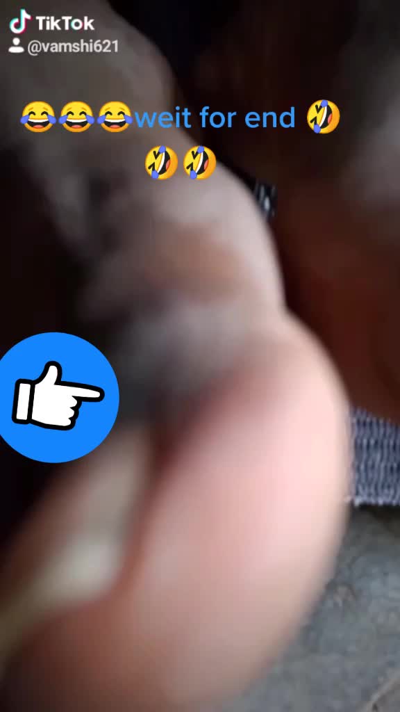 @vamshi143