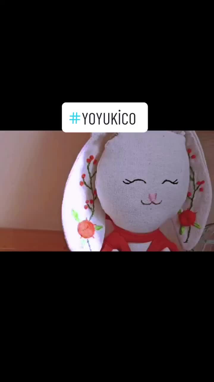 @Yoyukico