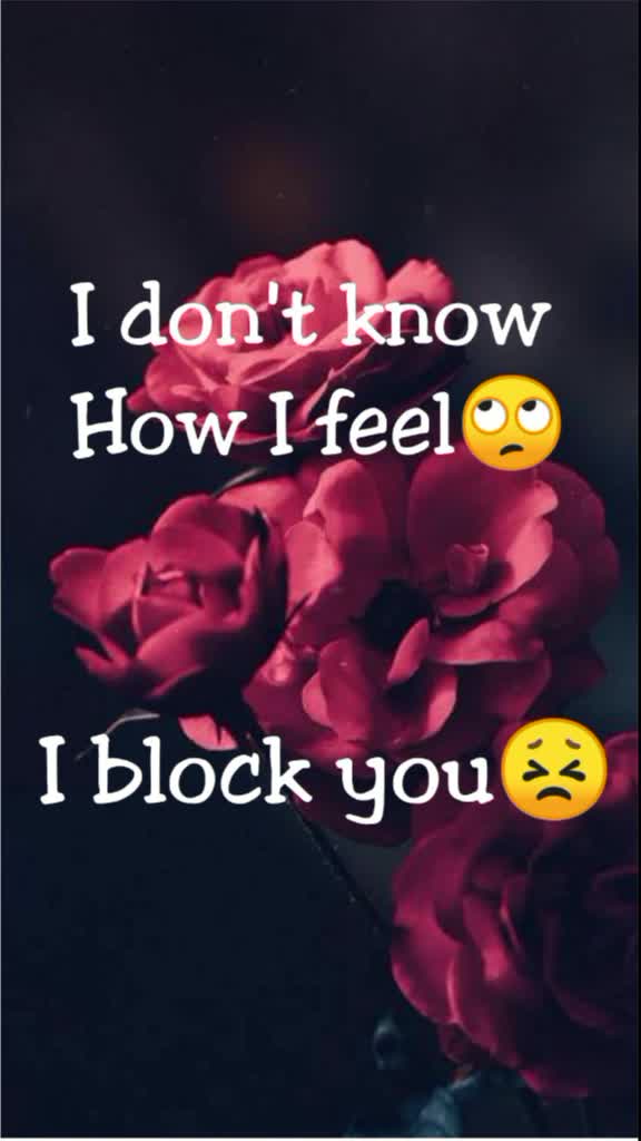 @user91202466169