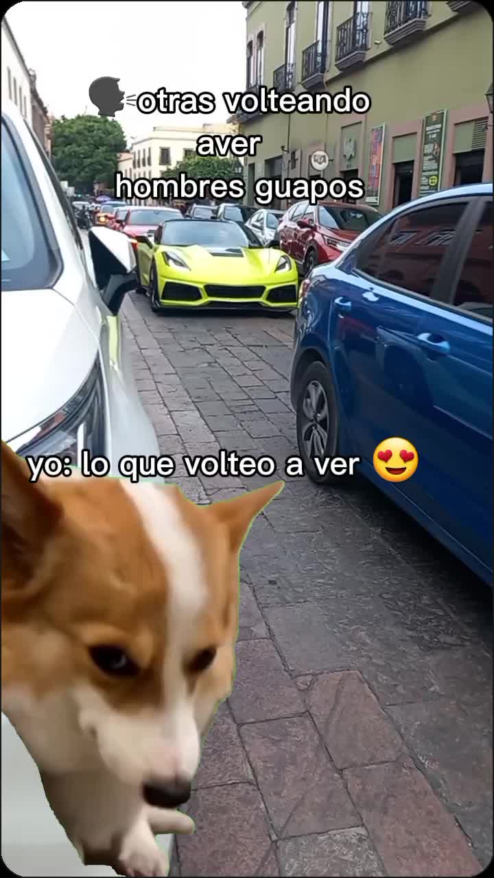 @Daniela AC