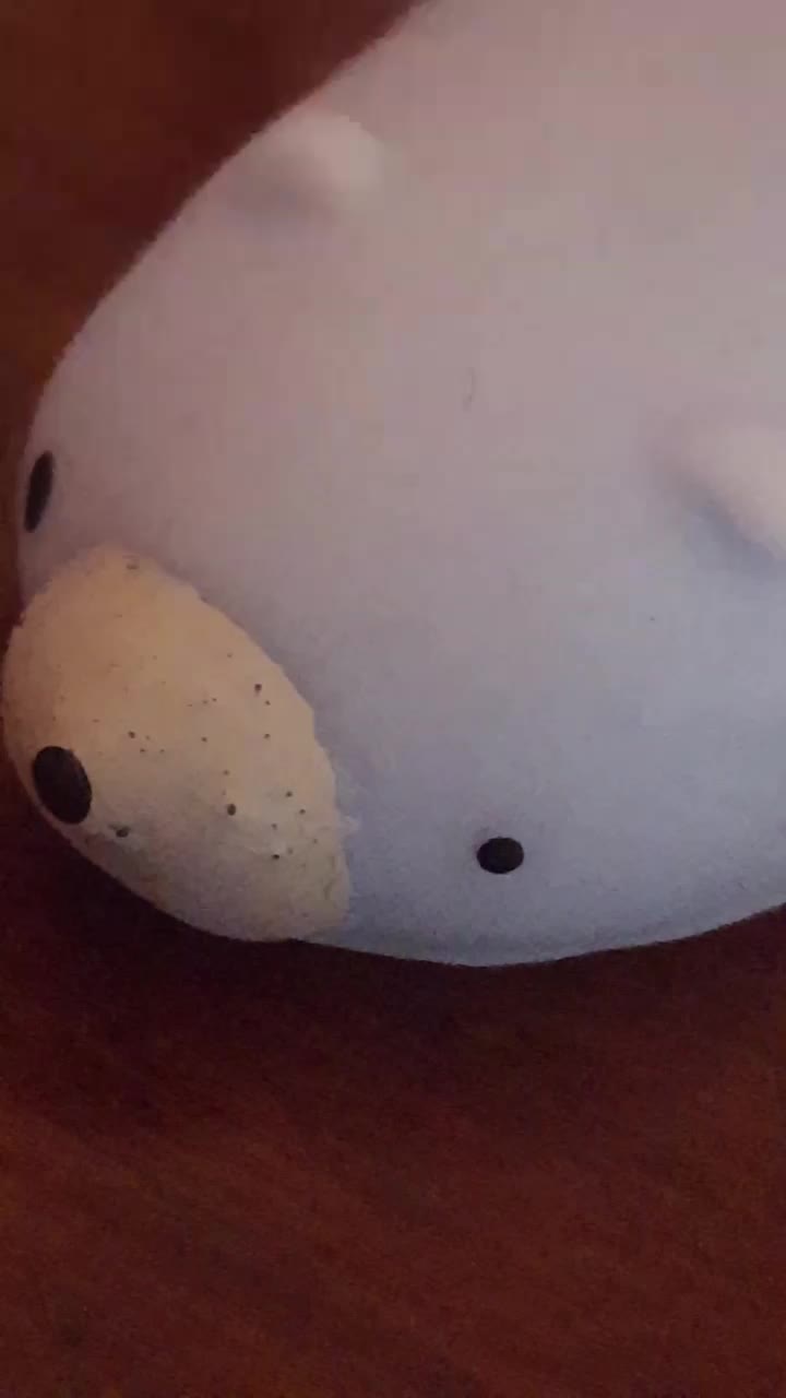 @Mochi Animals