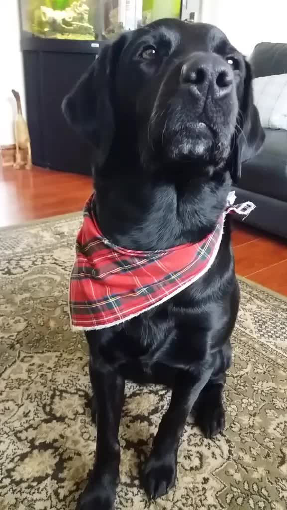 @Mollydollydoodah