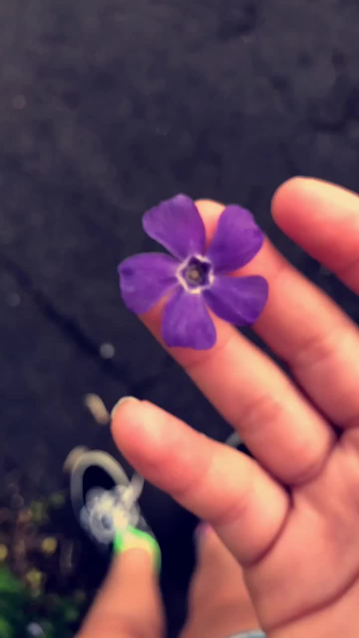 @vscoooo