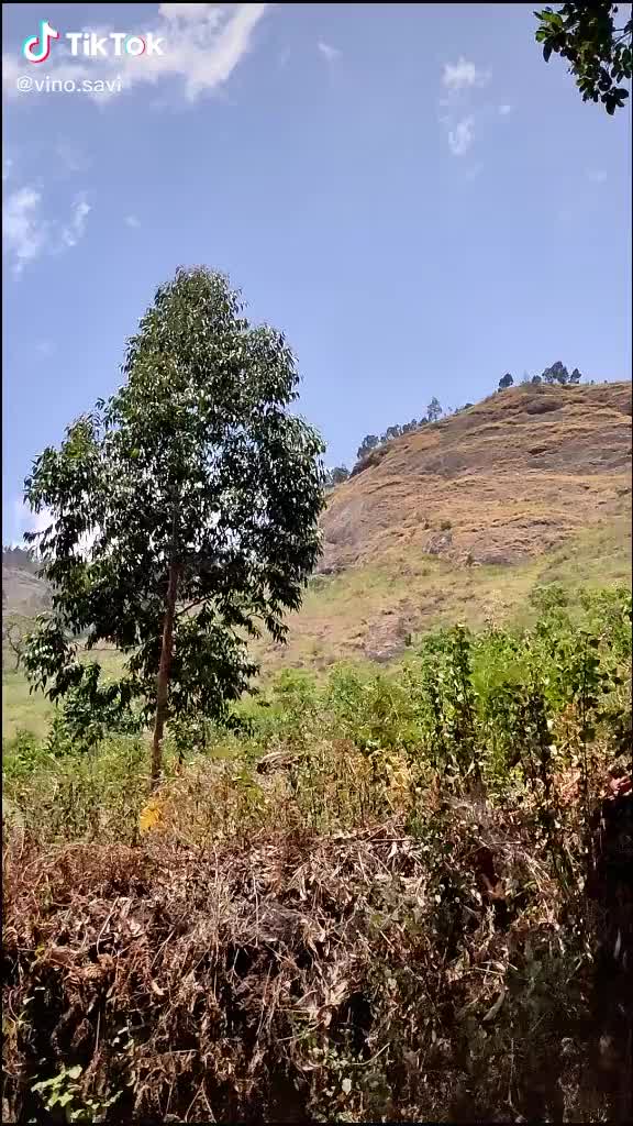 @Vino sethubathi