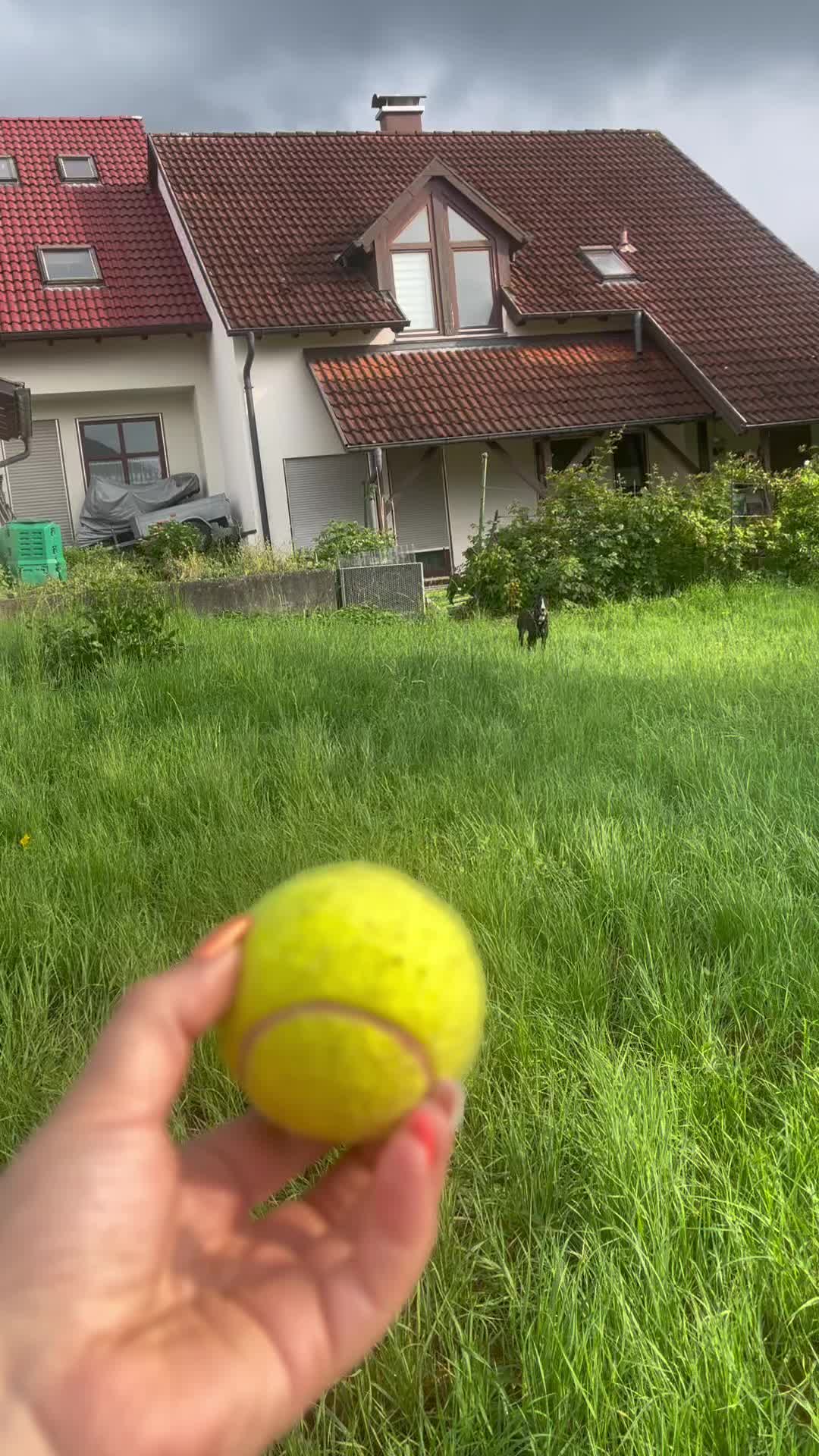 @kimii_98
