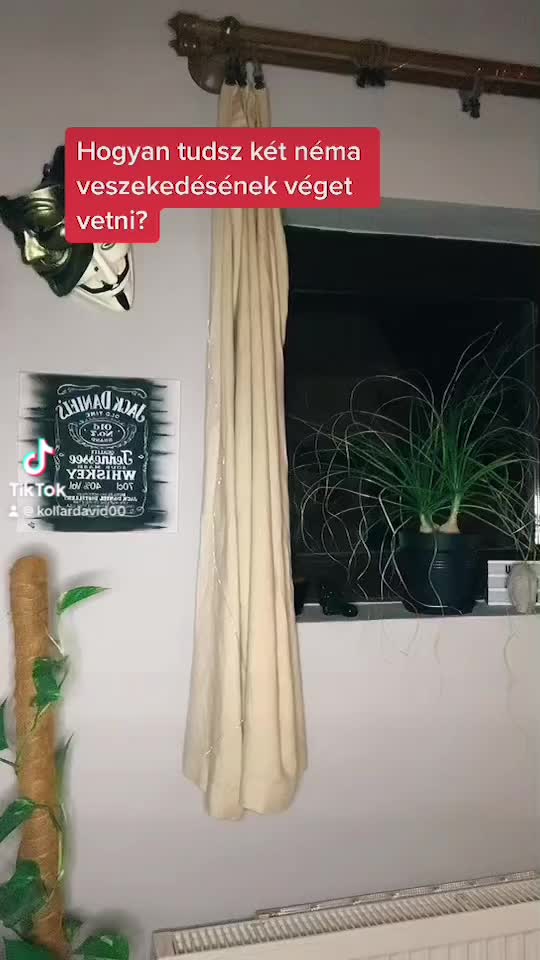 @Koll&aacute;r D&aacute;vid