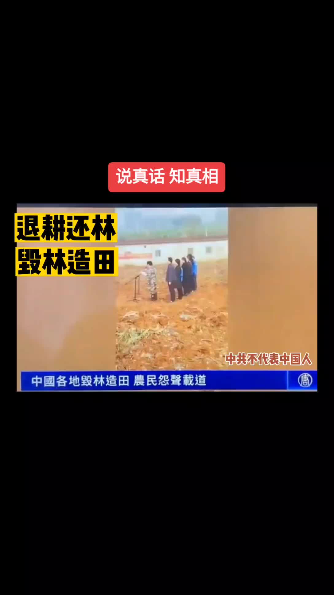 @新青年•中国观察