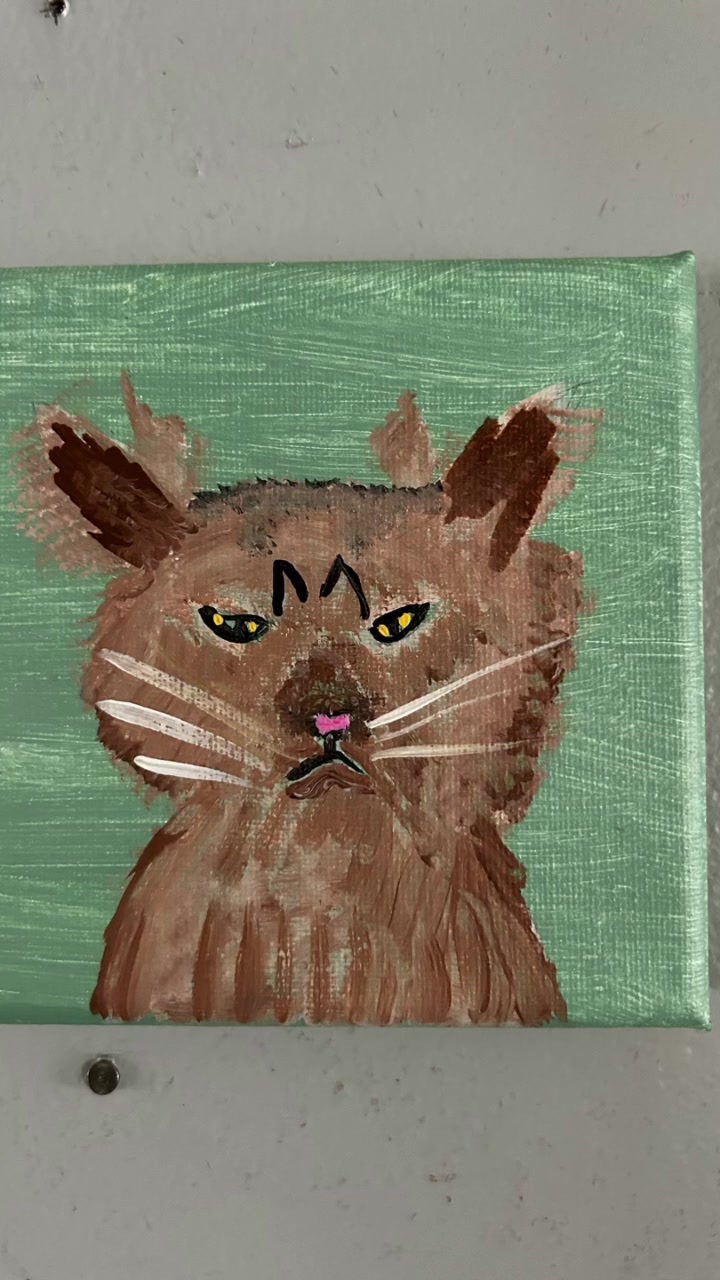 @cat