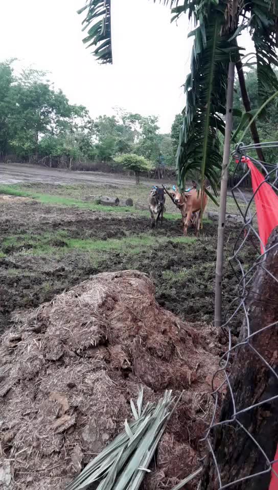 @Mannu Kaushik