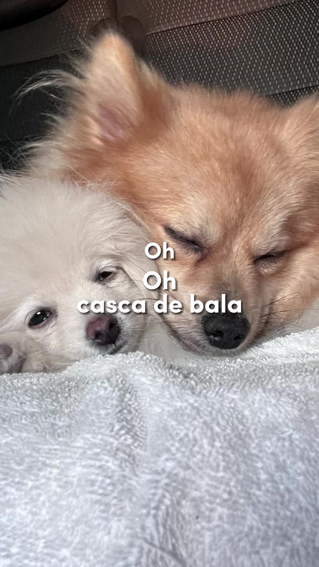 @My life