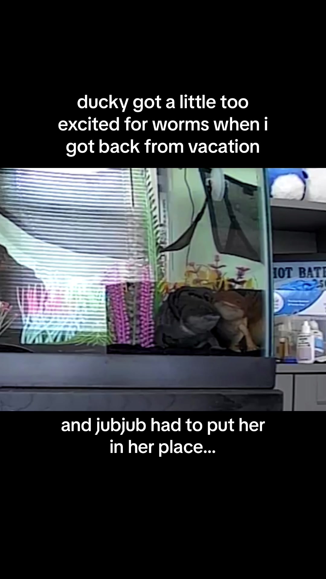 @JubJub
