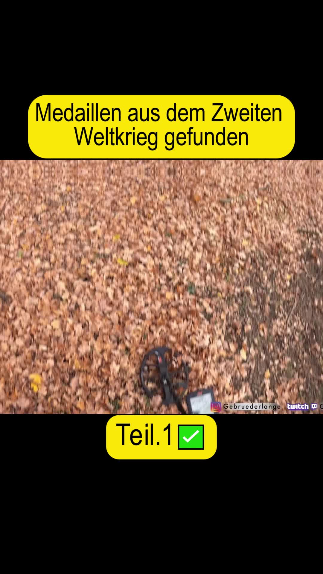 @Gebrüder Lange.ger