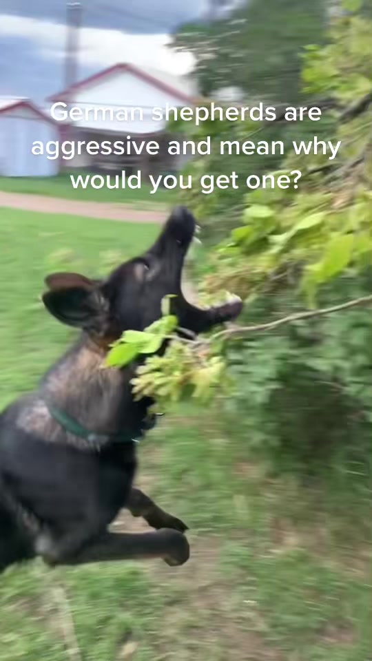 @Madi