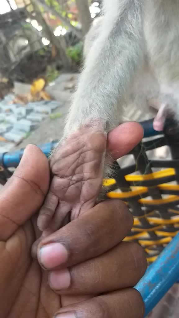 @Jaya Murugan