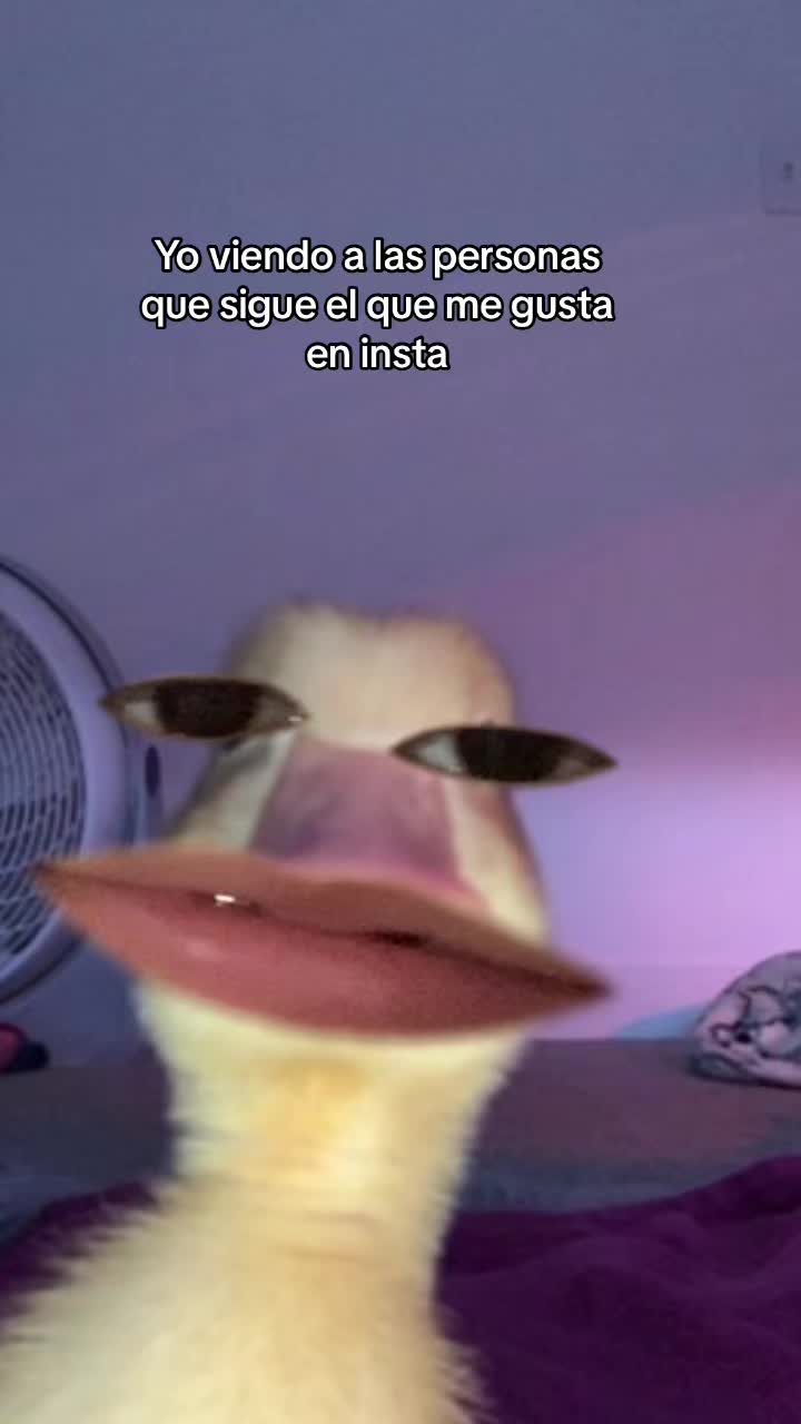 @Idali