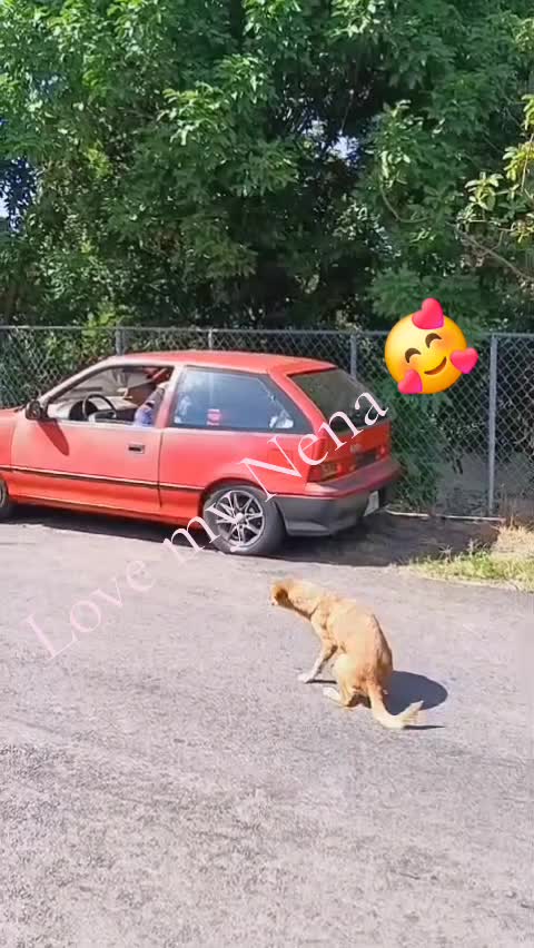 @marmolito96