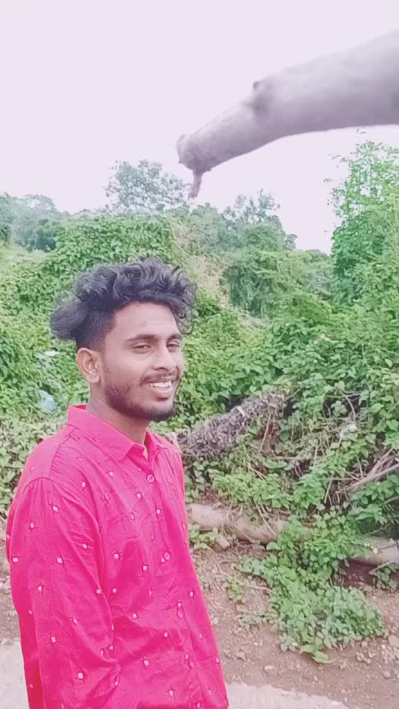@Yuvi433848