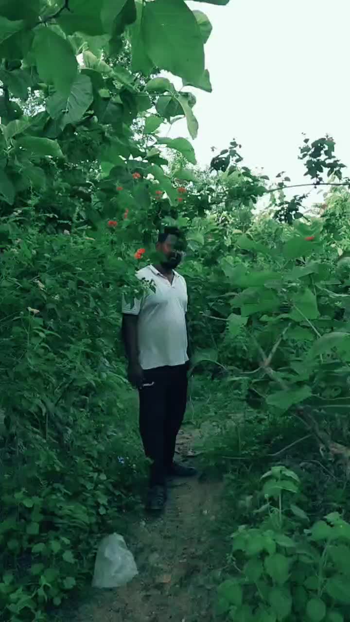 @user729439
