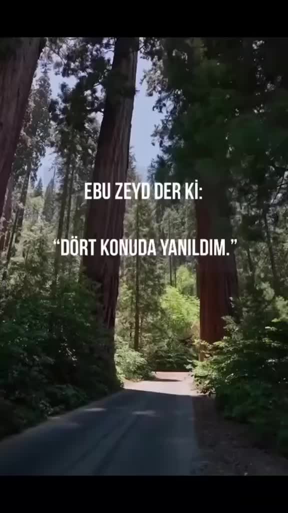 @ainoorf