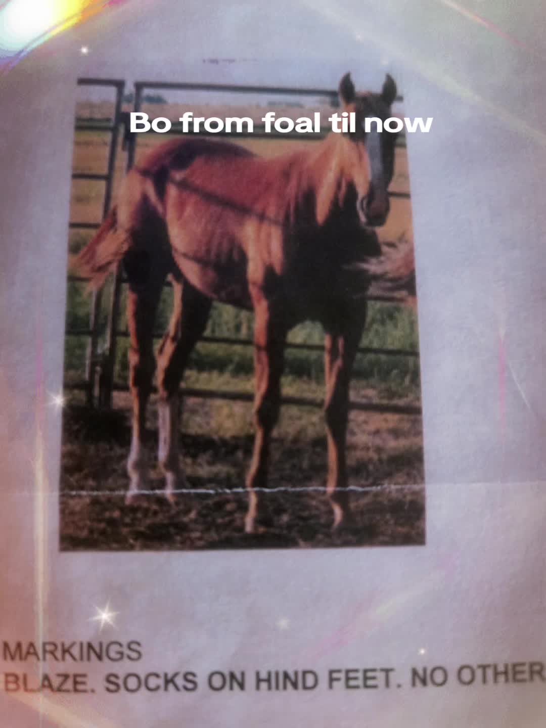 @Angel.yeet❌️yourlast haw🇺🇲🐴