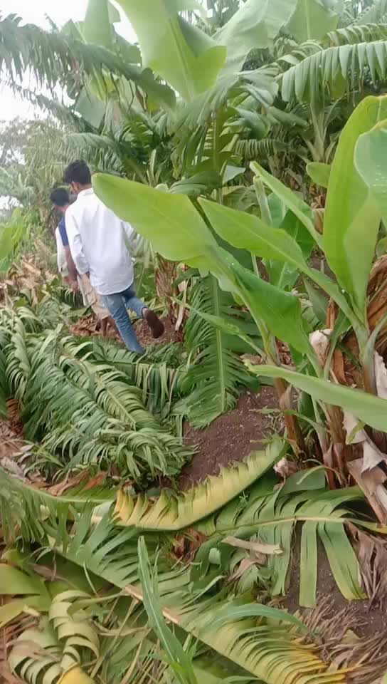 @Bhagvat thavare