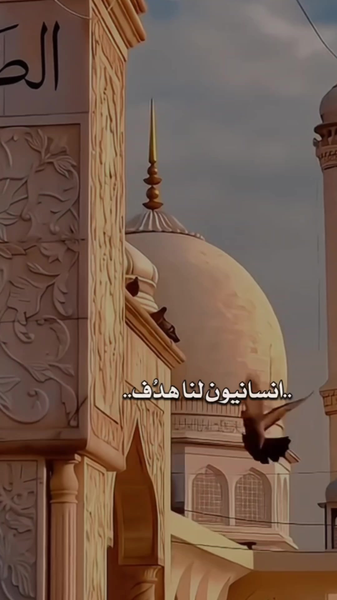 @ساندي🇪🇬