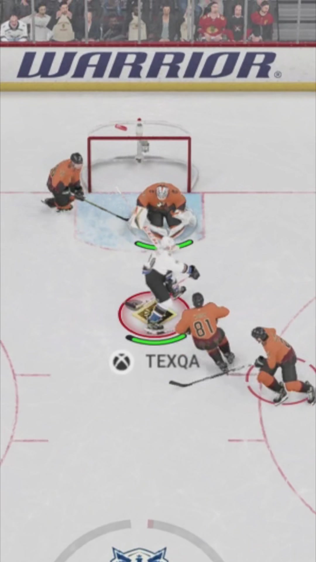 @Texqa