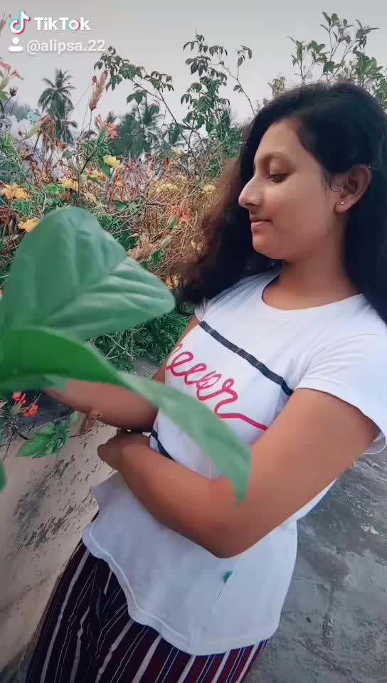 @alipsa