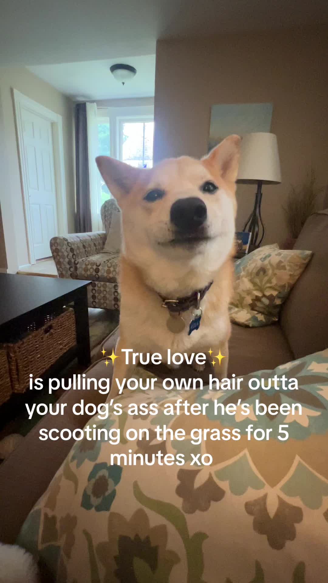 @kels