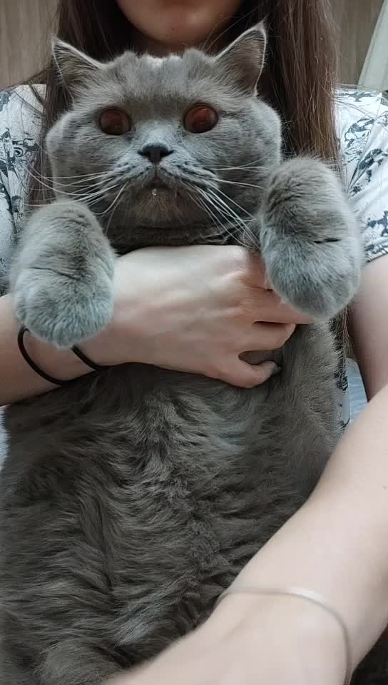 @Кошка Зефирка