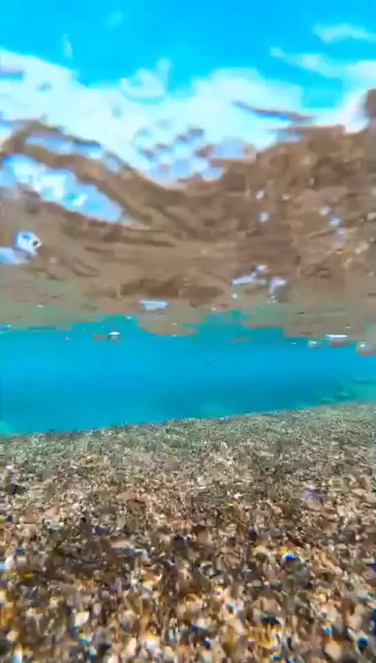 @user73533844106