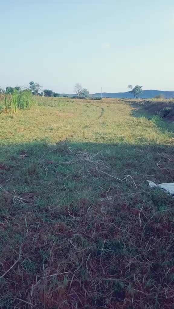 @Ramaraju Maddam