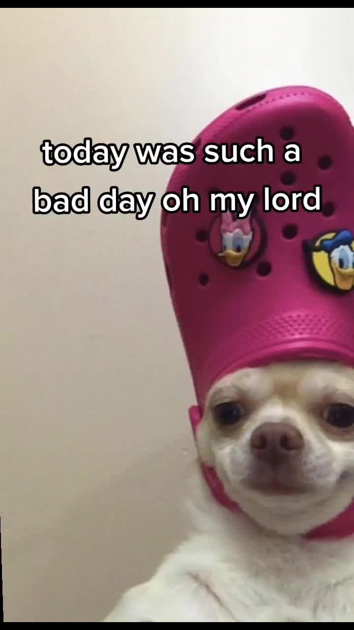 @Baela Baela