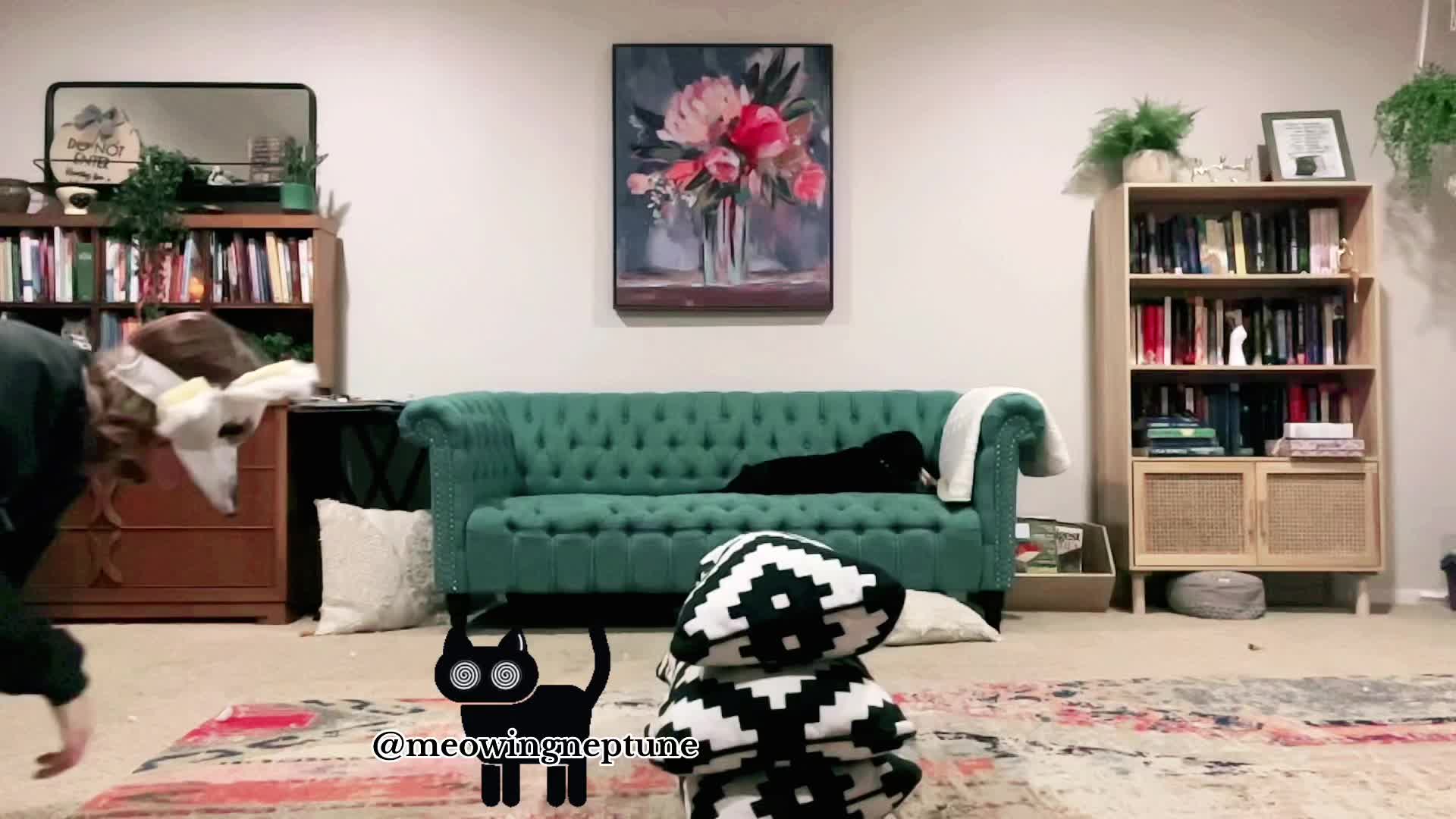 @🐾:|~ ᴋᴏᴅᴀ ~|:🍓