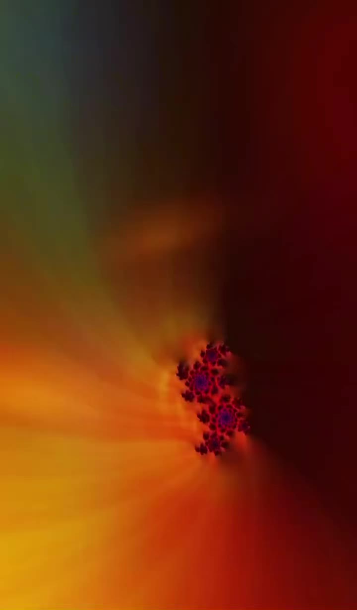 @zootedcontent
