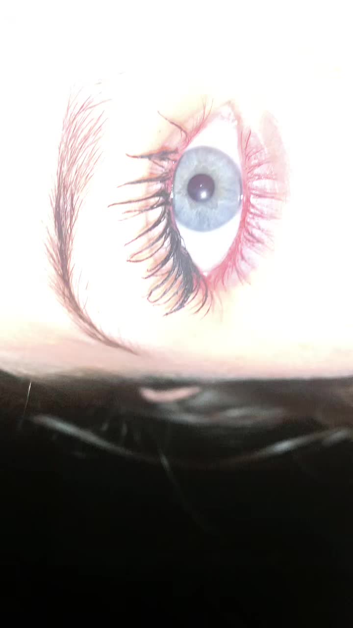 @Alyssa_the_besttt