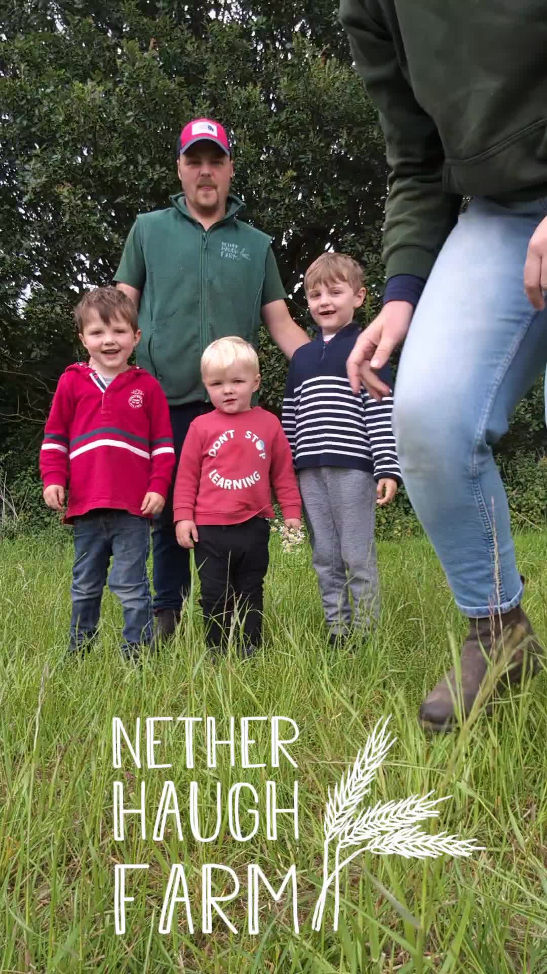 @Nether Haugh Farm