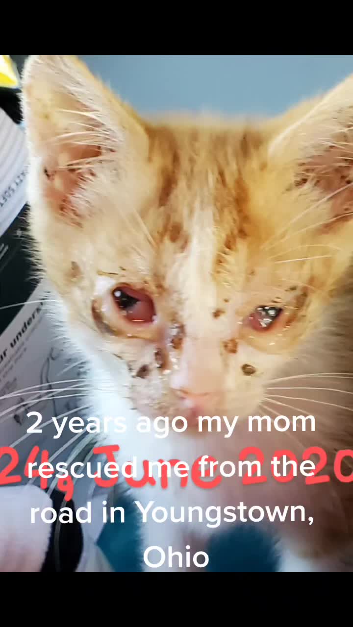 @Lil' Tiger Sylvester Ruediger